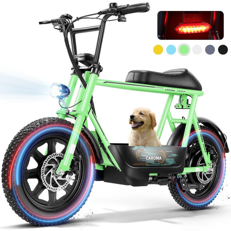 Electric Scoote
