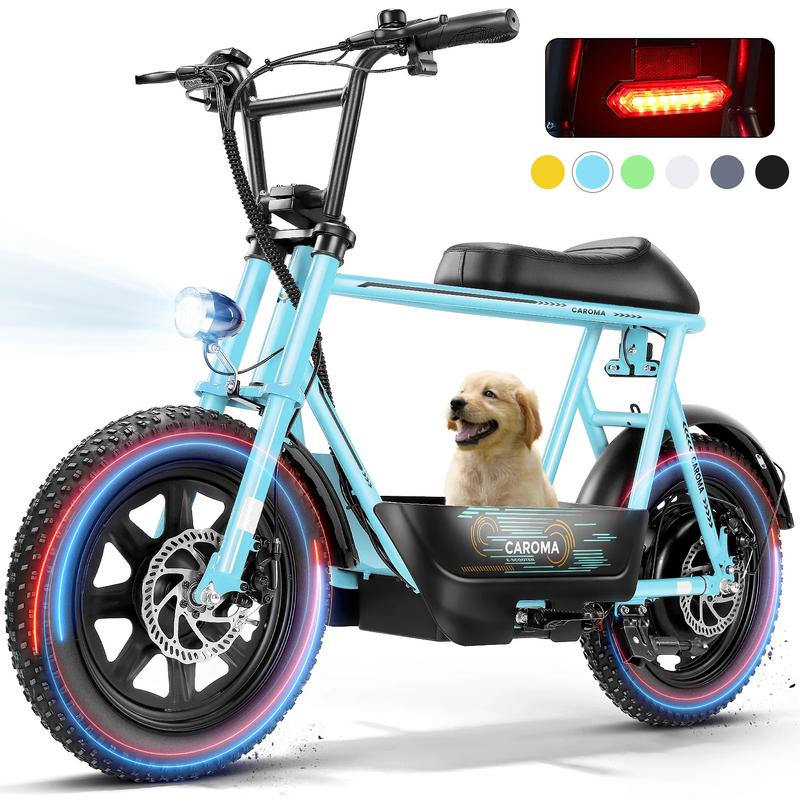 Electric Scoote