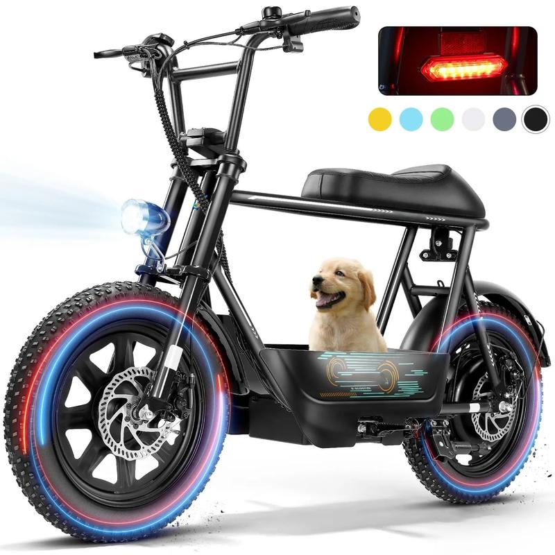 Electric Scoote