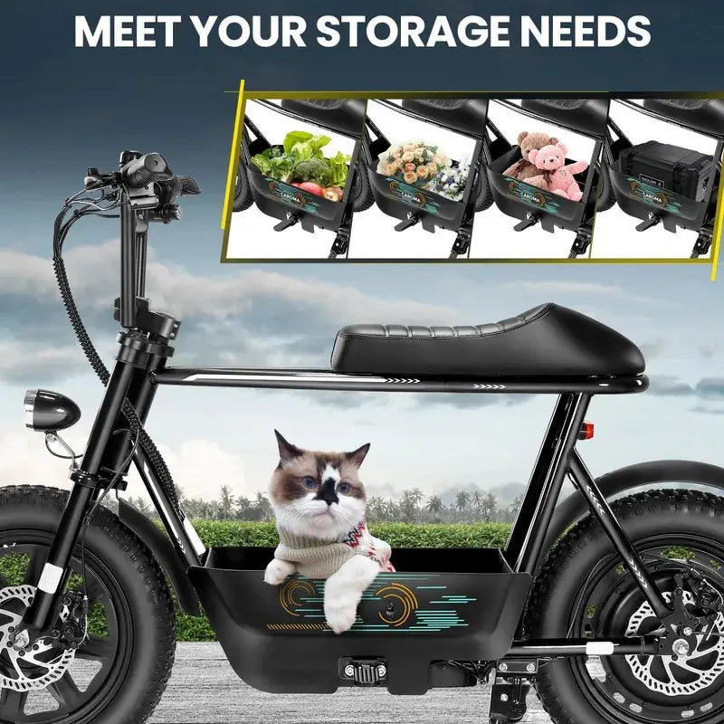 Electric Scoote