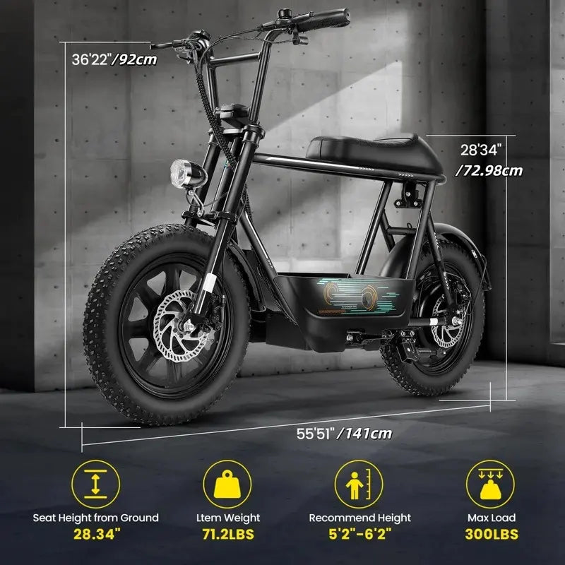 Electric Scoote