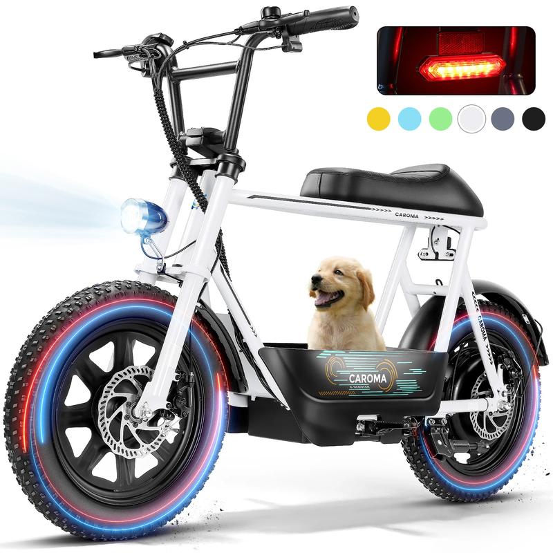Electric Scoote