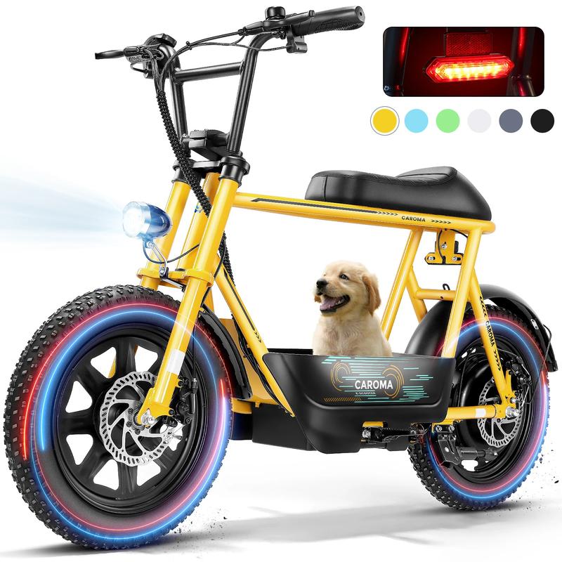Electric Scoote